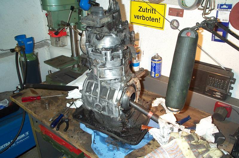 Bodengruppe – Foto 50